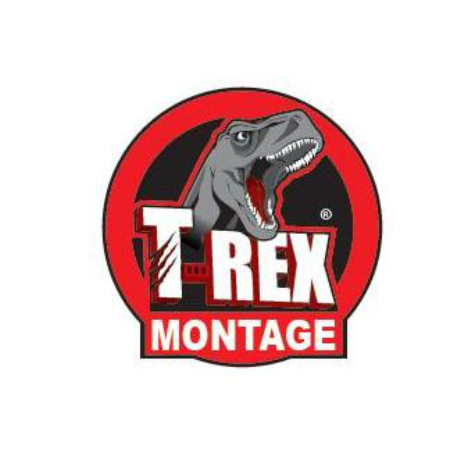 Soudal T-Rex Montage Stark und Kraftvoll weiß, 2 Tuben je 100 g
