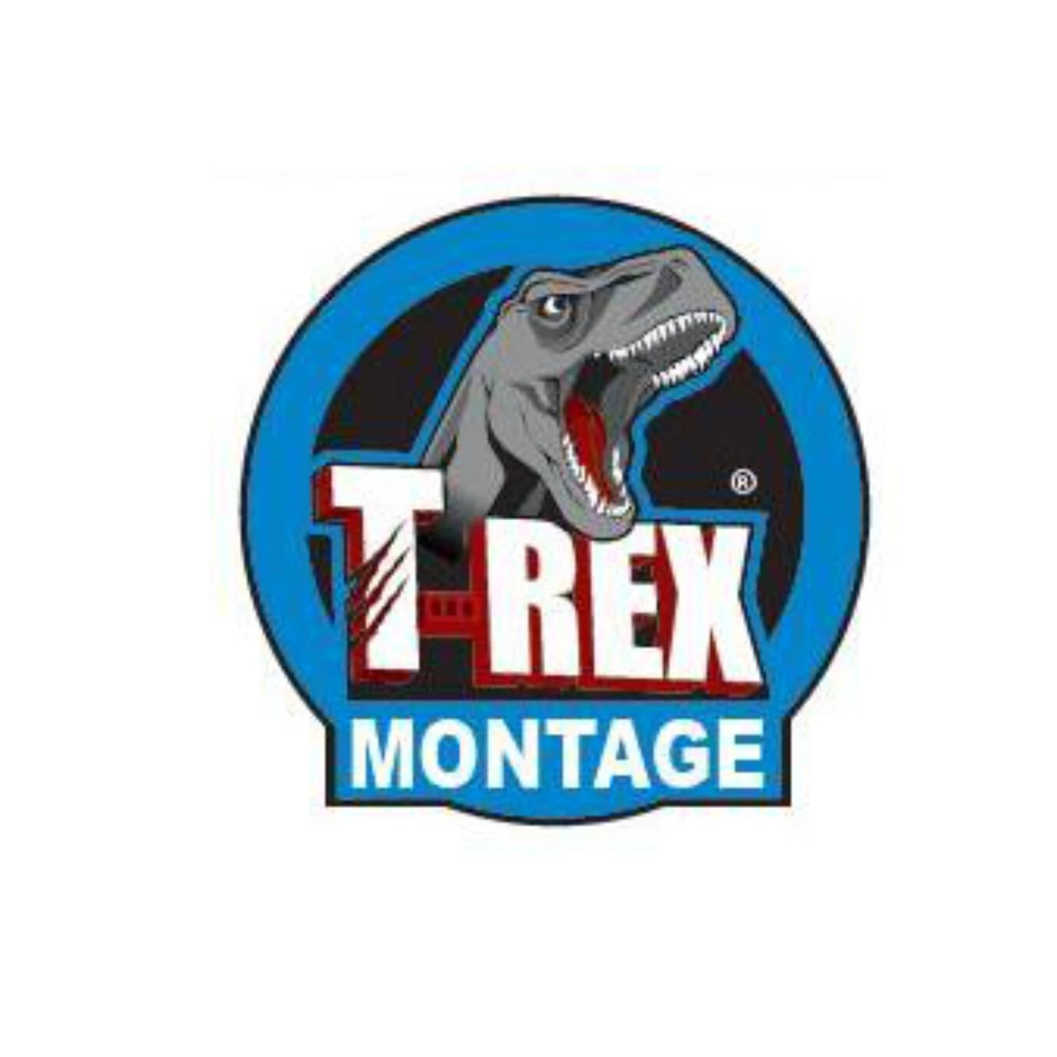 Soudal T-Rex Montage Transparent, Tube 200 g