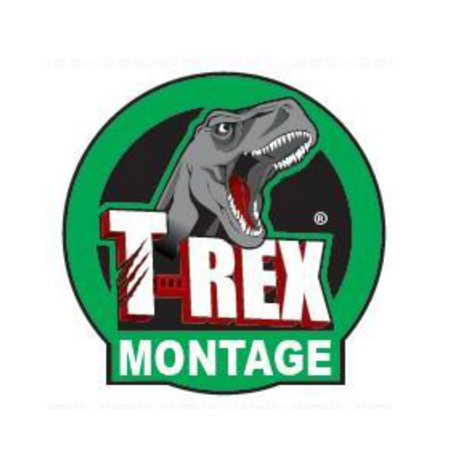 Soudal T-Rex Montage Super faserverstärkt, 10 Tuben je 100 g